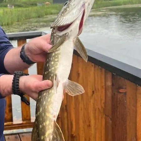 Σαλέ Waterfront - North