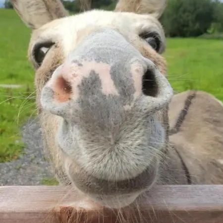 Waterfront - North Σαλέ