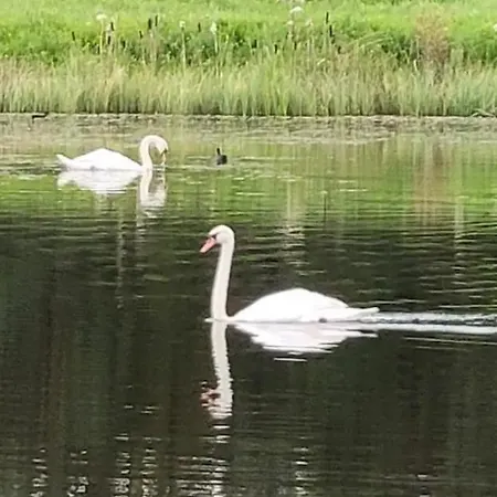 Σαλέ Waterfront - North