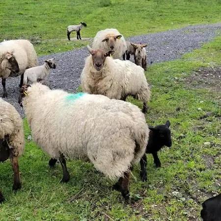 Waterfront - North בקתה באלינמור