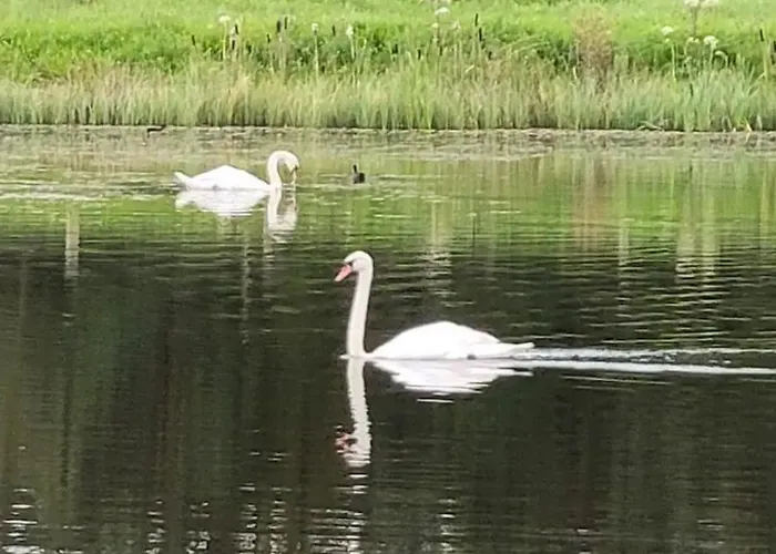 Alpstuga Waterfront - North